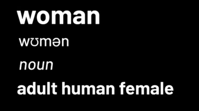 Woman noun adult human female