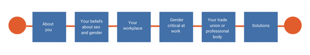 (1) About you (2) your beliefs about sex and gender (3) your workplace (4) gender critical at work (5) trade union/professional body (6) solutions