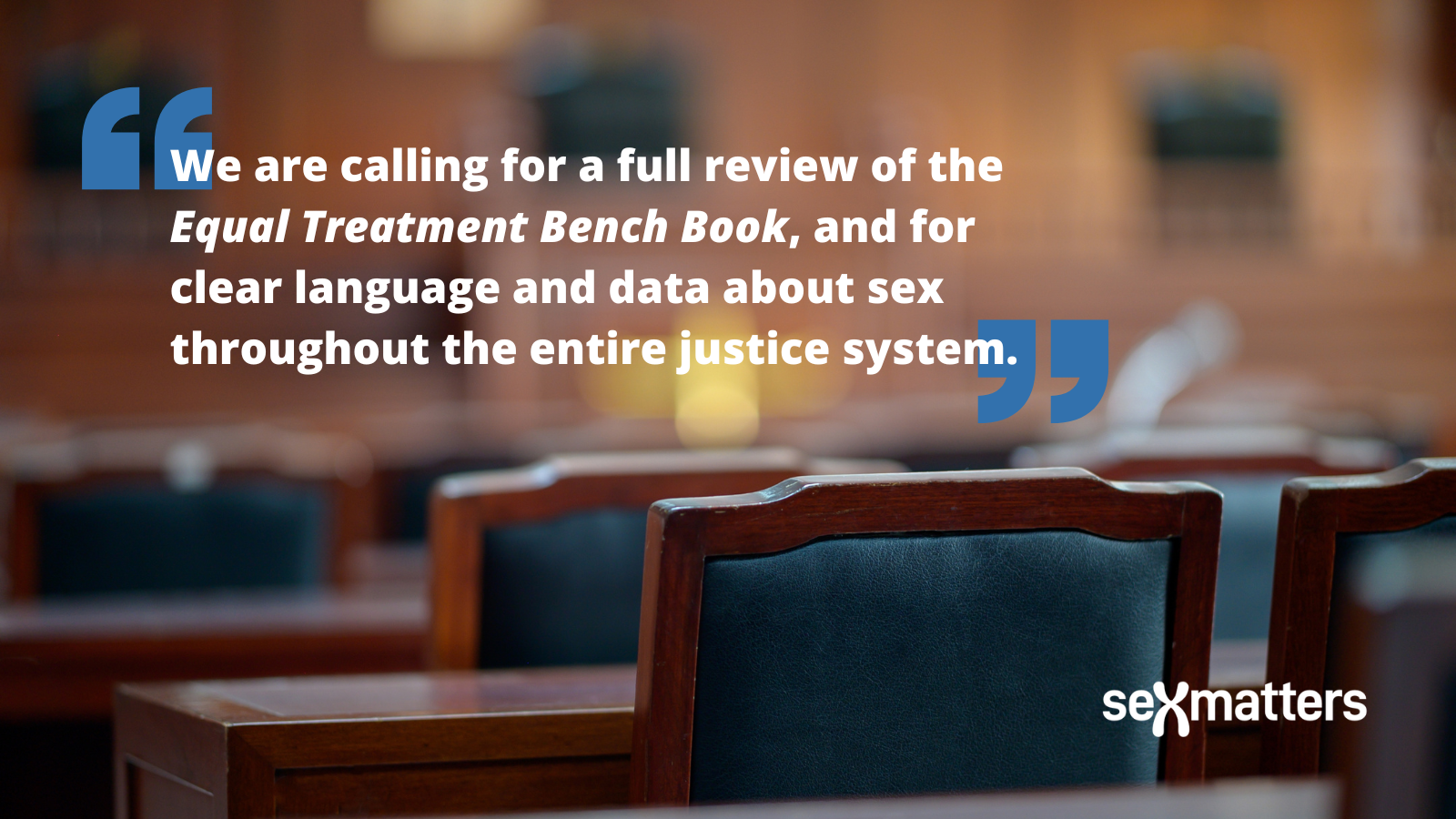 "We are calling for a full review of the Equal Treatment Bench Book, and for clear language and data about sex throughout the entire justice system."