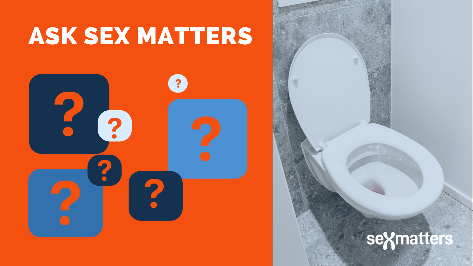 Ask Sex Matters: toilets
