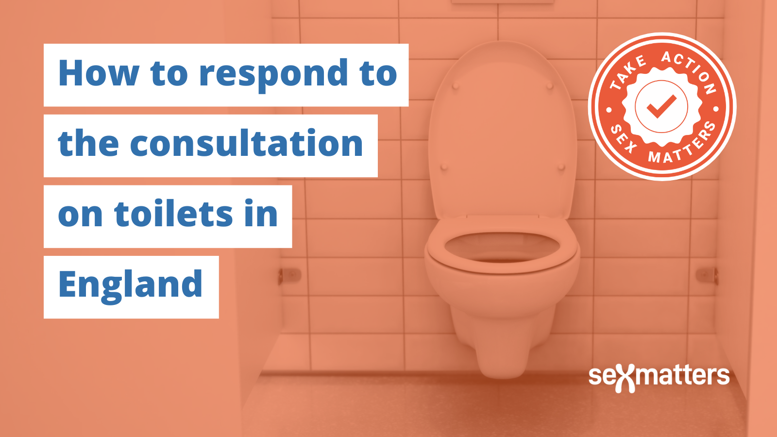 How to respond to the consultation on toilets in England