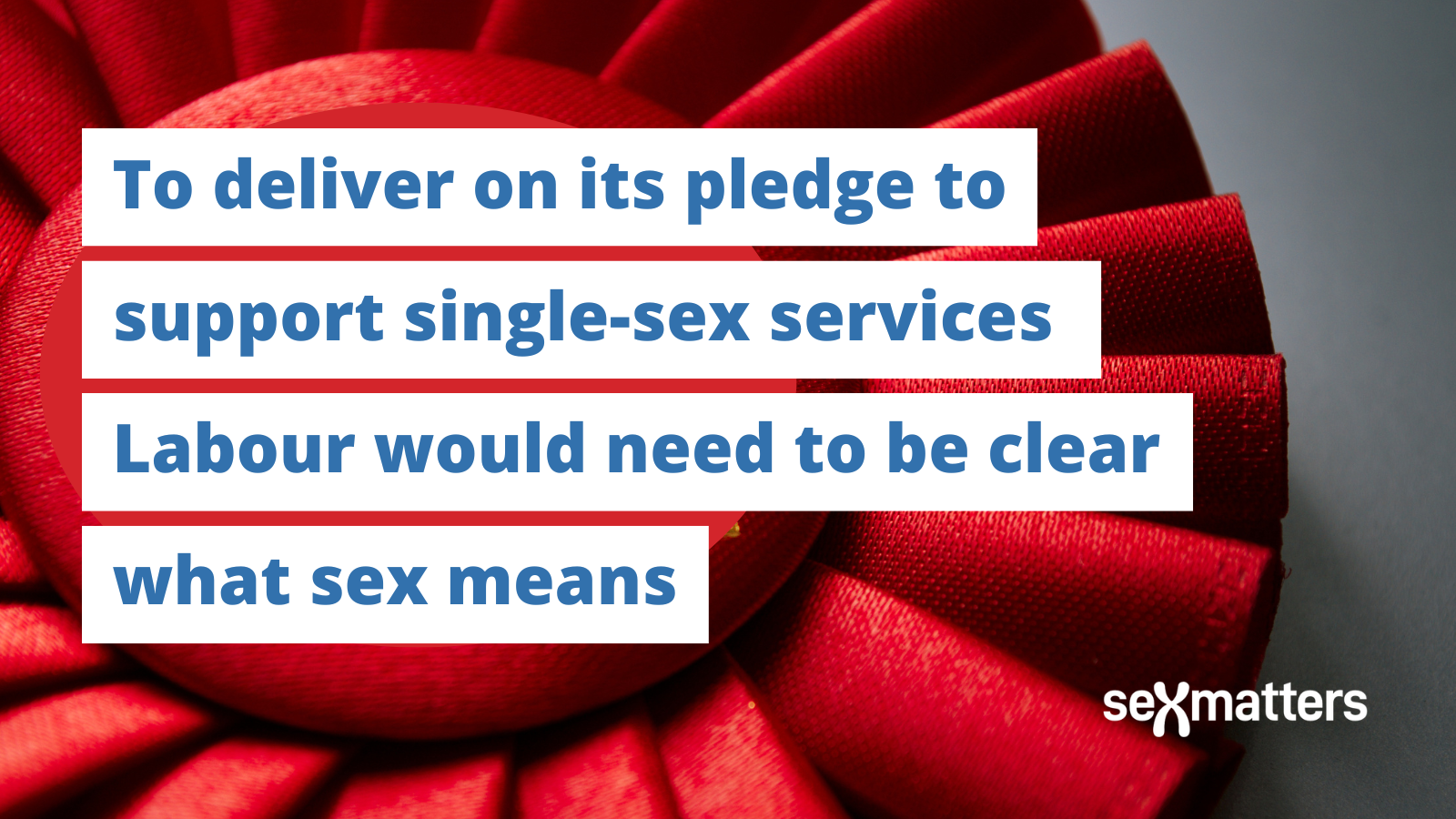 To deliver on its pledge to support single-sex services Labour would need to be clear what sex means