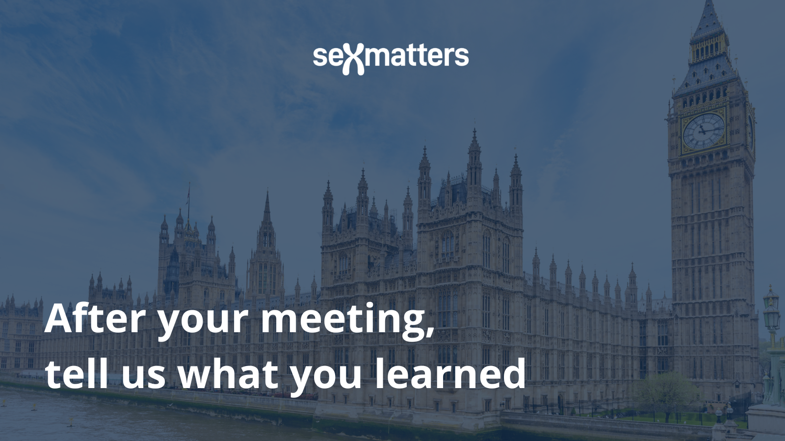 After your meeting, tell us what you learned.