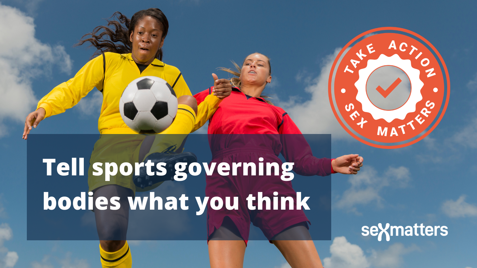 Tell sports governing bodies what you think