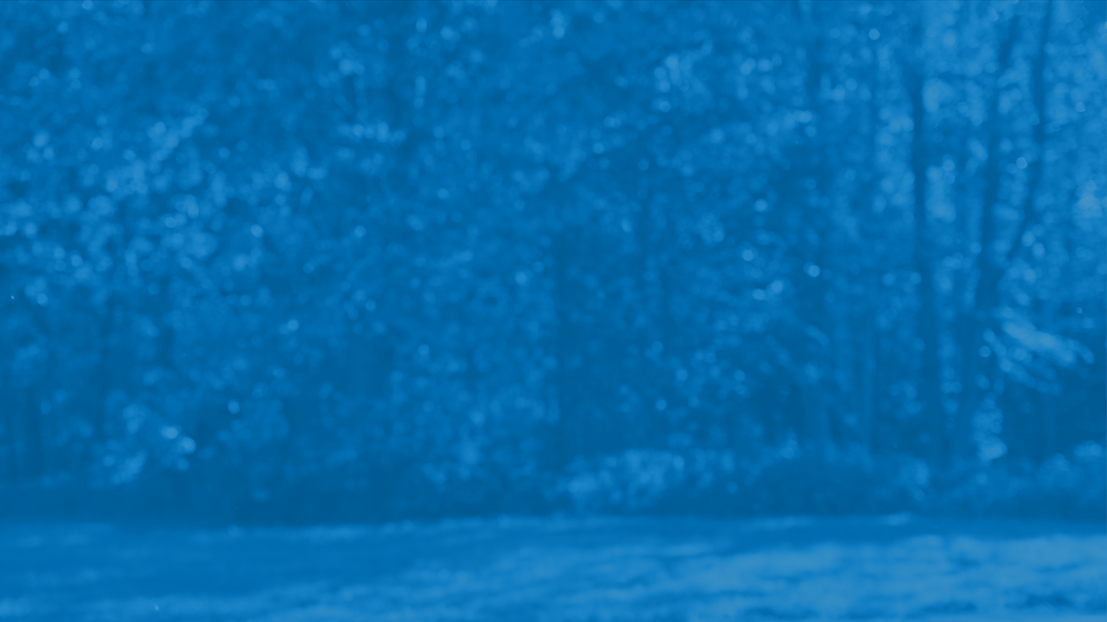 Field background