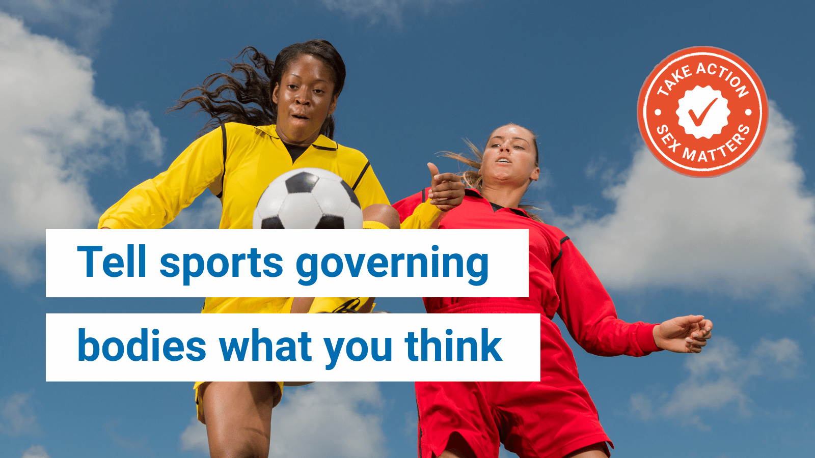 Tell sports governing bodies what you think